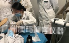 雙逆博士機(jī)器多少錢(qián)一臺(tái)？正版雙逆博士?jī)x器_雙逆博士真假辨別